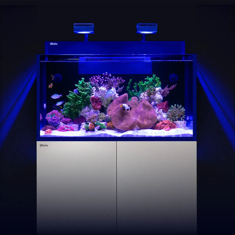 MAX NANO G2 XXL Aquarium (53 Gal)