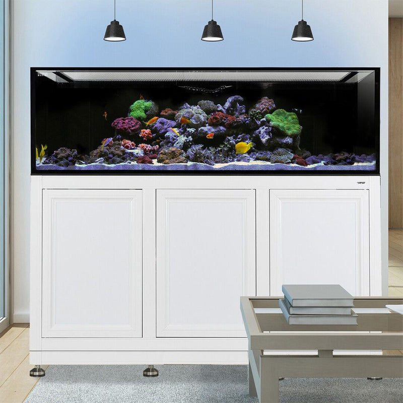 INT 200 Gallon Complete Reef System