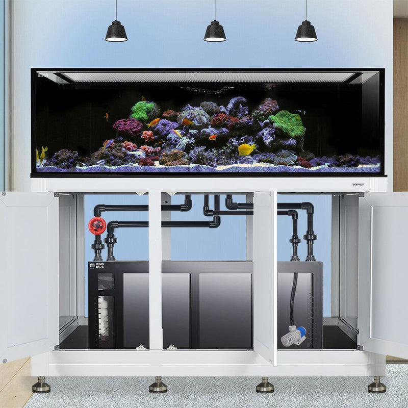 INT 200 Gallon Complete Reef System