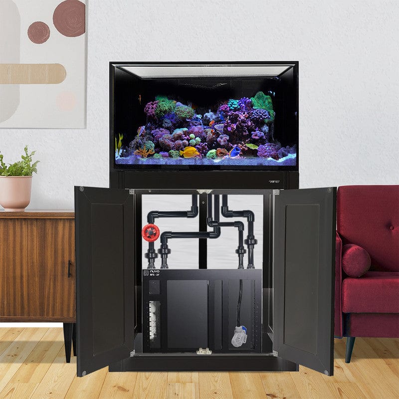 75 Gallon INT Complete Reef Aquarium - Innovative Marine