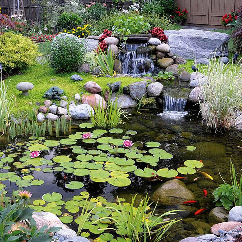 Blue Thumb Elite Pond Kits